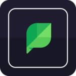 03 sprout social