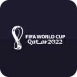 29 fifa wc