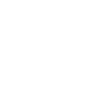 Logo MOTN