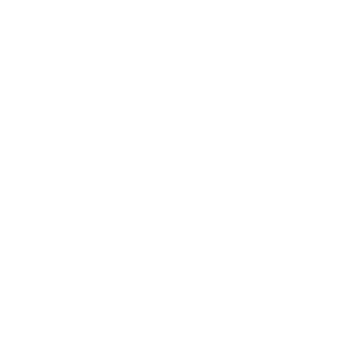 Logo Novo