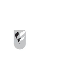 Logo UFC